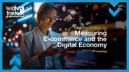 Working group on measuring e-commerce and the digital economy, fifth meeting