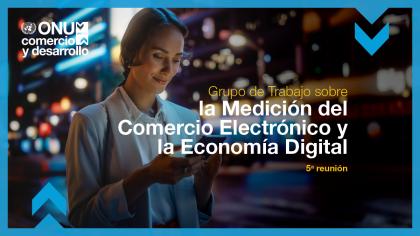 Grupo de trabajo sobre la medición del comercio electrónico y la economía digital, quinta reunión