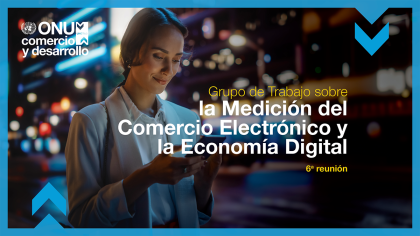 Working group on measuring e-commerce and the digital economy, 6th meeting
