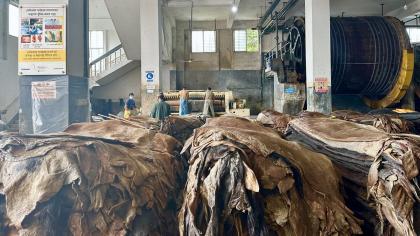 Raw hides at a tannery in Savar Tannery Industrial Estate in Bangladesh. 