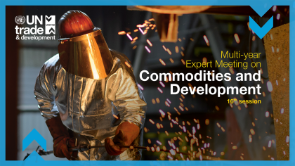 Multi-year Expert Meeting on Commodities and Development, 16th session