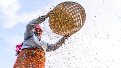A small farmer in Nepal
