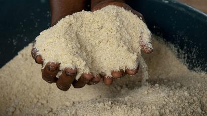 Benin cassava flour makers seek Geographical Indication