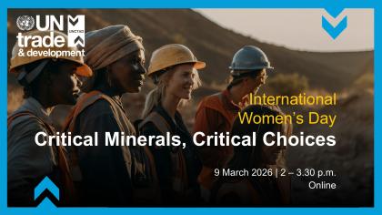 Critical Minerals, Critical Choices