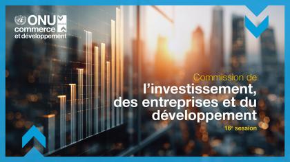 Investment, Enterprise and Development Commission, 16th session	