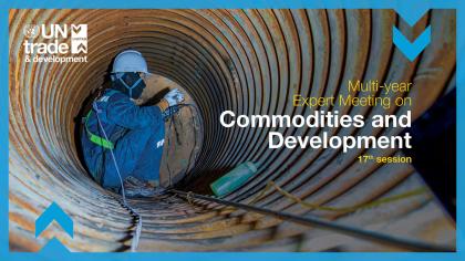 Multi-year Expert Meeting on Commodities and Development, 17th session