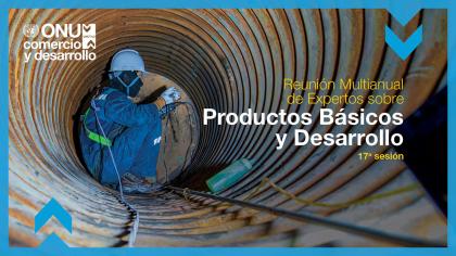Multi-year Expert Meeting on Commodities and Development, 17th session