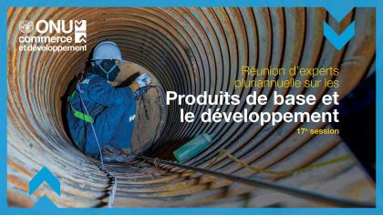 Multi-year Expert Meeting on Commodities and Development, 17th session