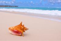 Project launch and Webinar: Seizing the trade and business potential of Blue BioTrade in selected Organisation of Eastern Caribbean States (OECS) countries