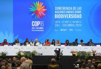Briefing on achieving biodiversity goals through trade
