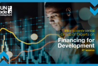 Intergovernmental Group of Experts on Financing for Development, 9th session
