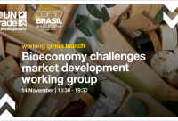 COP30 working group launch: Bioeconomy challenges market development working group